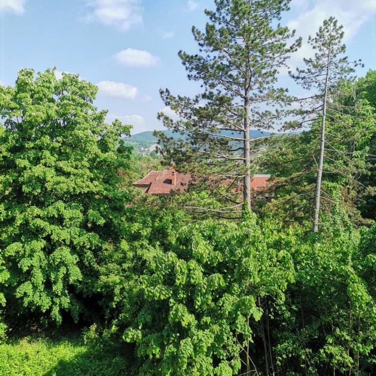 MDM Apartman Vrnjačka Banja - One-Bedroom Apartment - 48