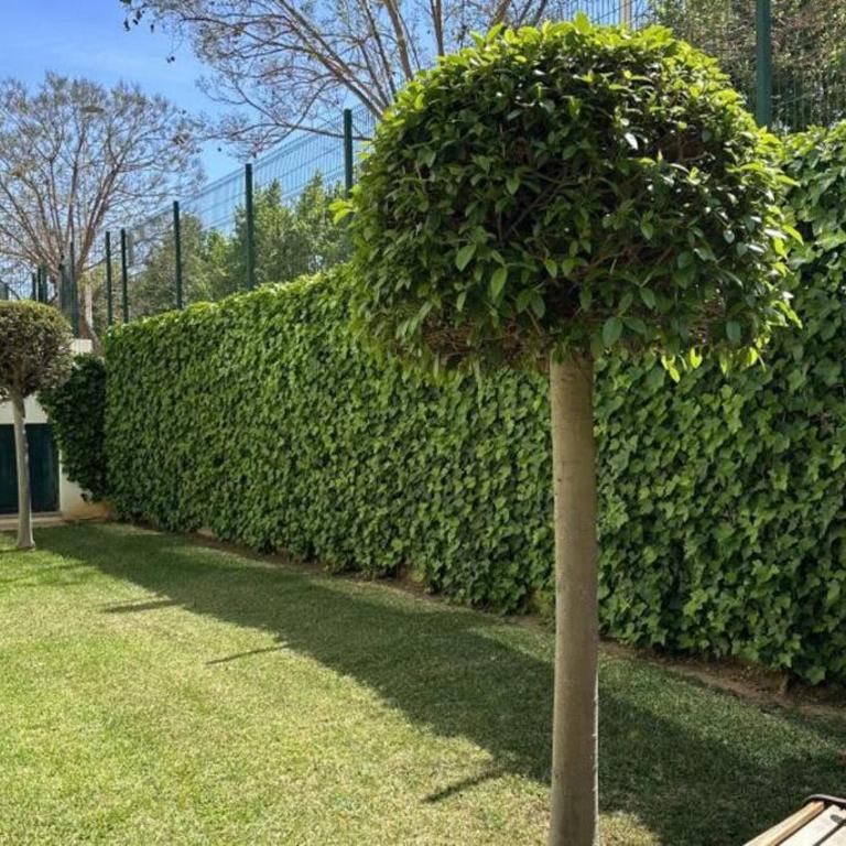 Three bedroom apartment, PRIME Javea location - Apartamento de 3 dormitorios - 4
