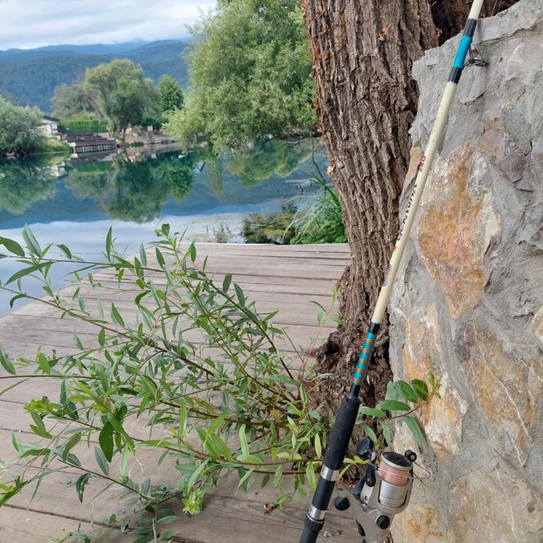 Bosanska kuća Emina - Three-Bedroom Villa - 50