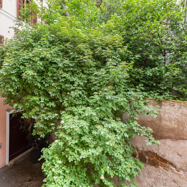 Colosseo Exclusive House by Premium Suites Collection - Appartamento con 3 Camere da Letto - 82