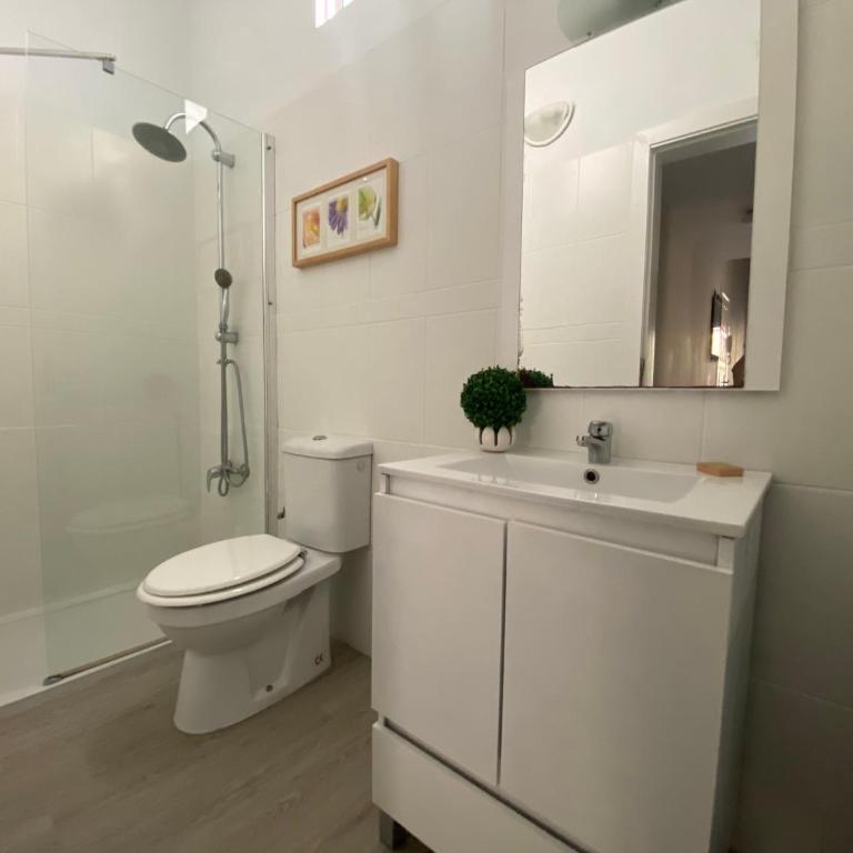 Santa Cruz de Tenerife Toscal, Free Parking gratis - Apartamento - 17