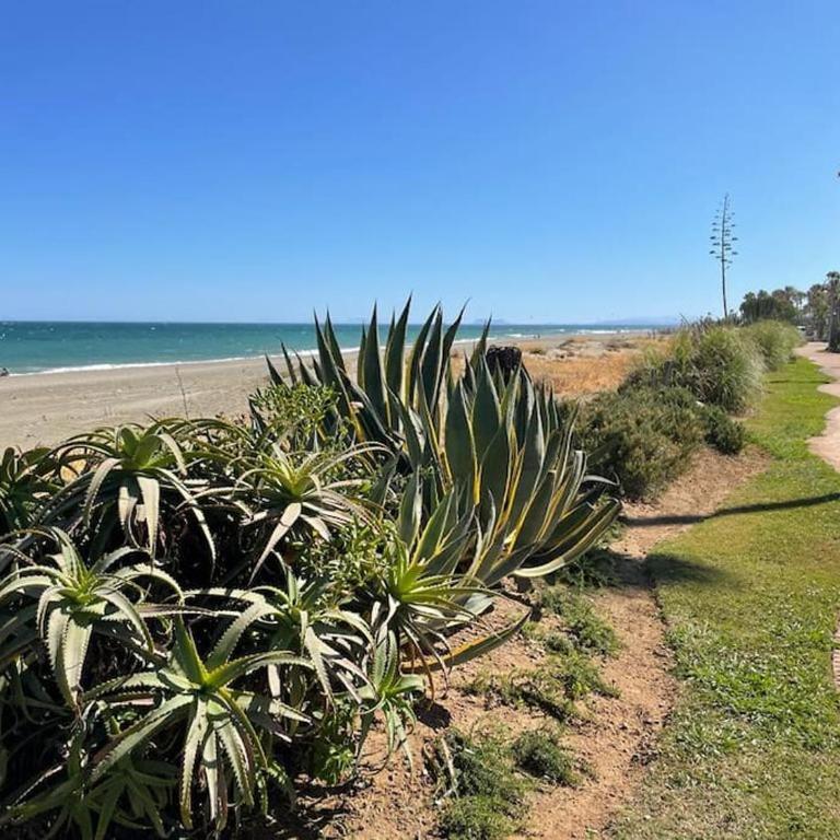 4 Bedroom Townhouse 200 meters from the Beach! - Apartment - 65