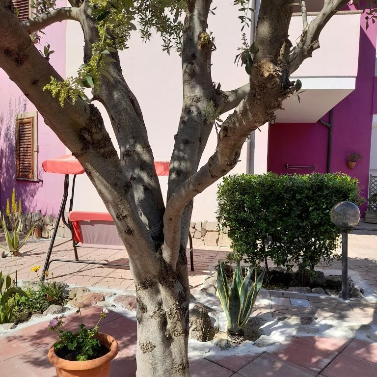 La Fortezza casa vacanze & appartament - Appartamento Superior - 5