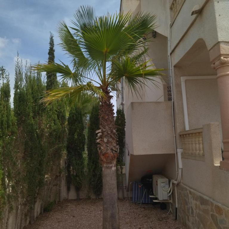 Las Ramblas 828 - Apartamento de 2 dormitorios - 39