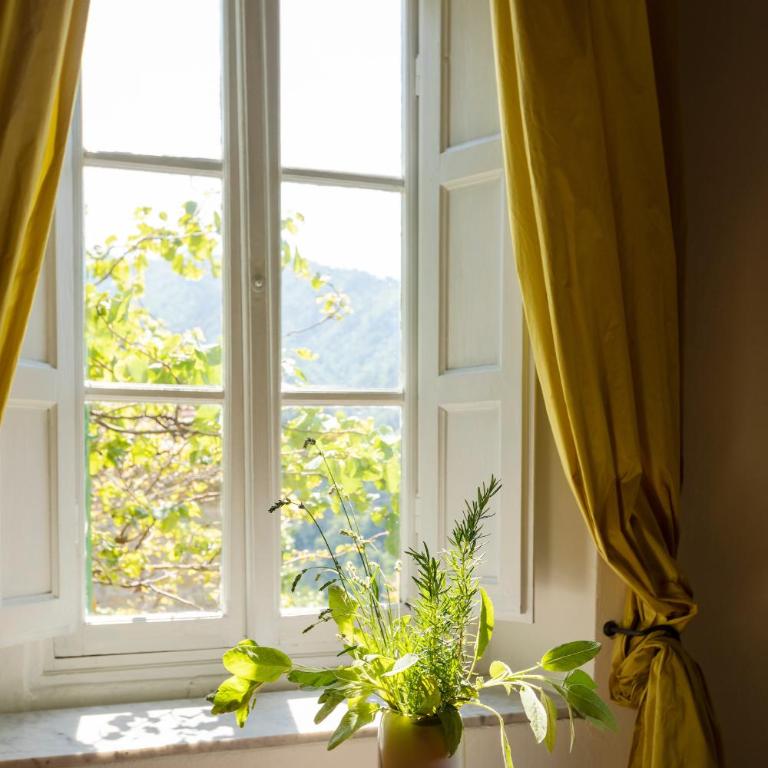Villa il Gelsomino - Camera Doppia con Letti Singoli con Bagno Privato - 1