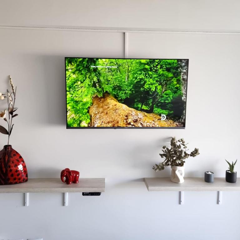 CDM Temporal 2 - Apartamento de 1 dormitorio - 4