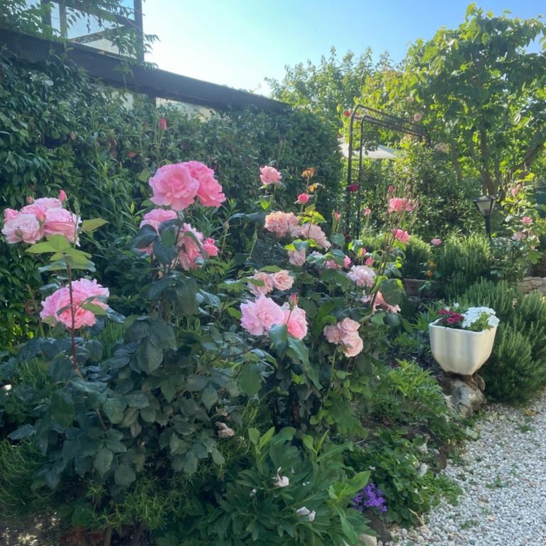 LOU PANTAI - Chambre Familiale - Vue sur Jardin - 6