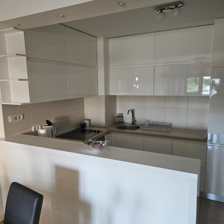 Stylish New Belgrade apt parking 5e per day - Apartman sa 1 Spavaćom Sobom - 4