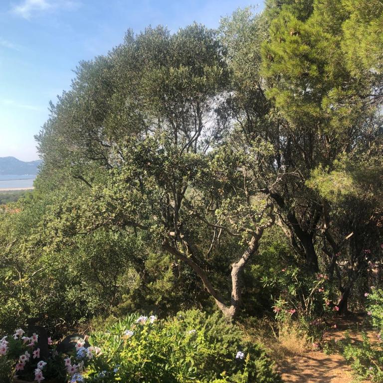 Villa Les Quatre Vents mit traumhaftem Meerblick - Three-Bedroom Villa - 12