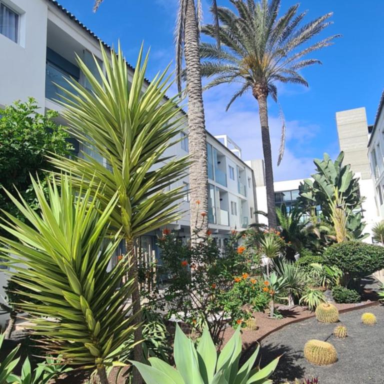Beach & Wave - Apartamento de 1 dormitorio - 17