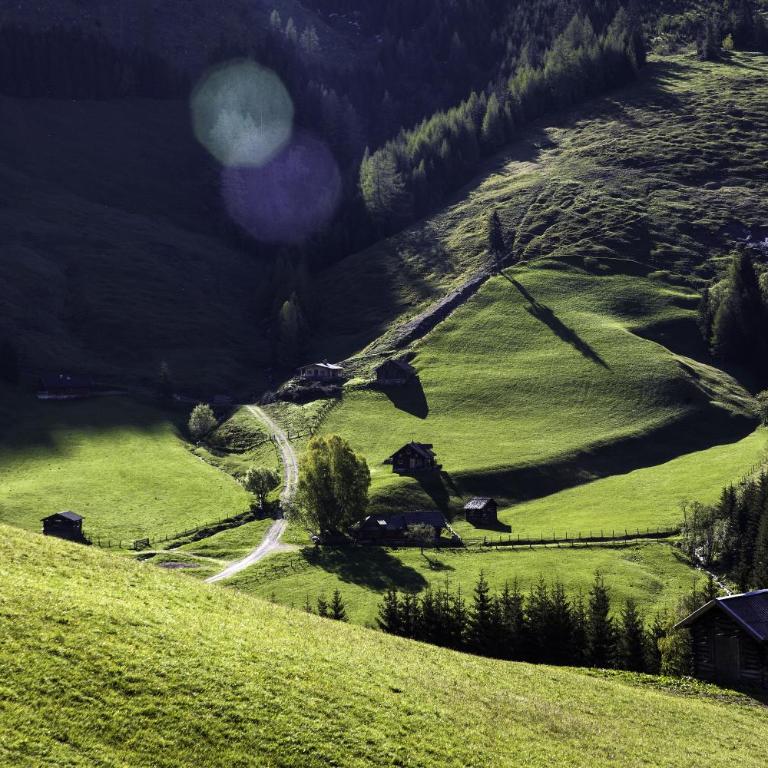 Alpengasthof Karalm - Doppelzimmer mit eigenem Bad - 1