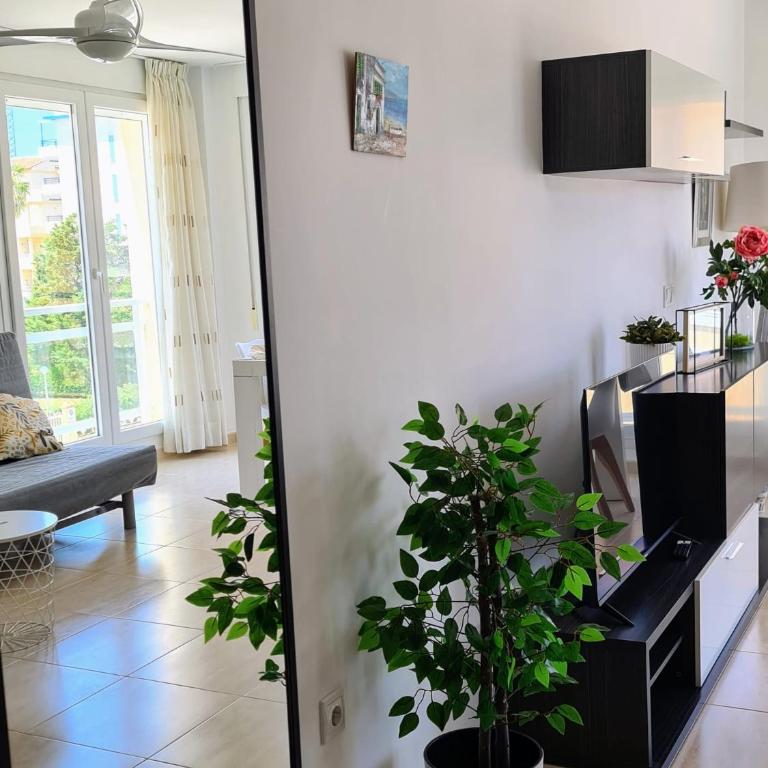 Oliva Moon - Apartamento de 2 dormitorios - 13
