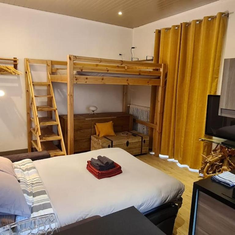 hyper centre Annecy et bord du lac - Apartment mit 1 Schlafzimmer - 8