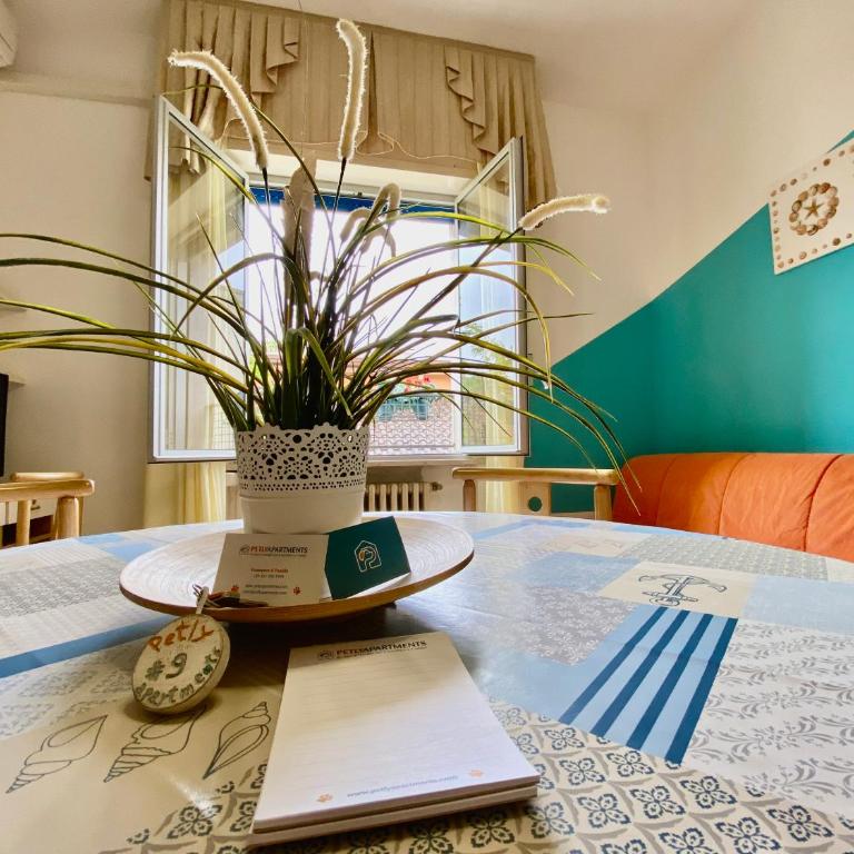 PetlyApartments - Appartamento - 12