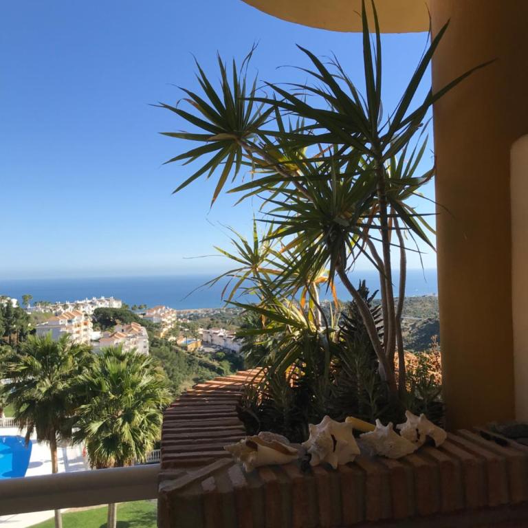 Room in shared Apartment in suite bathroom WiFi 2 swimming Pools Panoramic views Mijas Marbella - Apartment mit 2 Schlafzimmern - 39