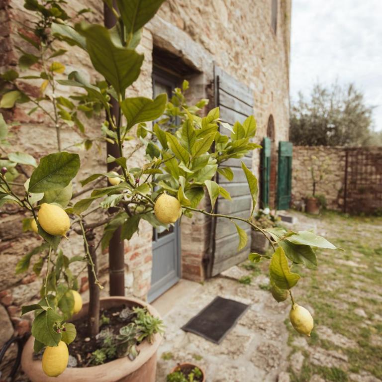 Podere Spedalone - Camera Familiare con Bagno Privato - 11