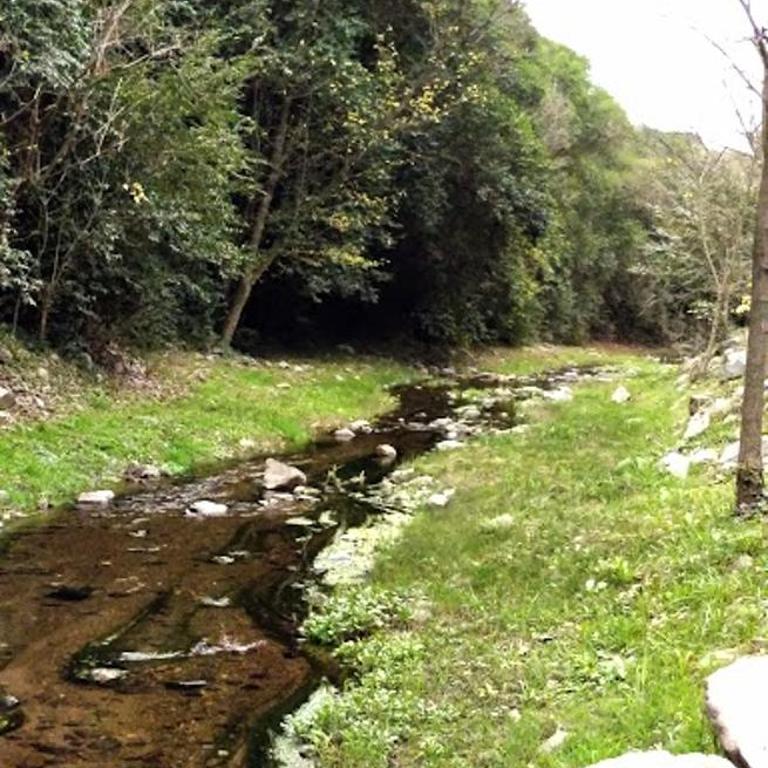 LOFT LA CAYETANA, Grupo Cabaña La Triada - Casa con 1 dormitorio - 51