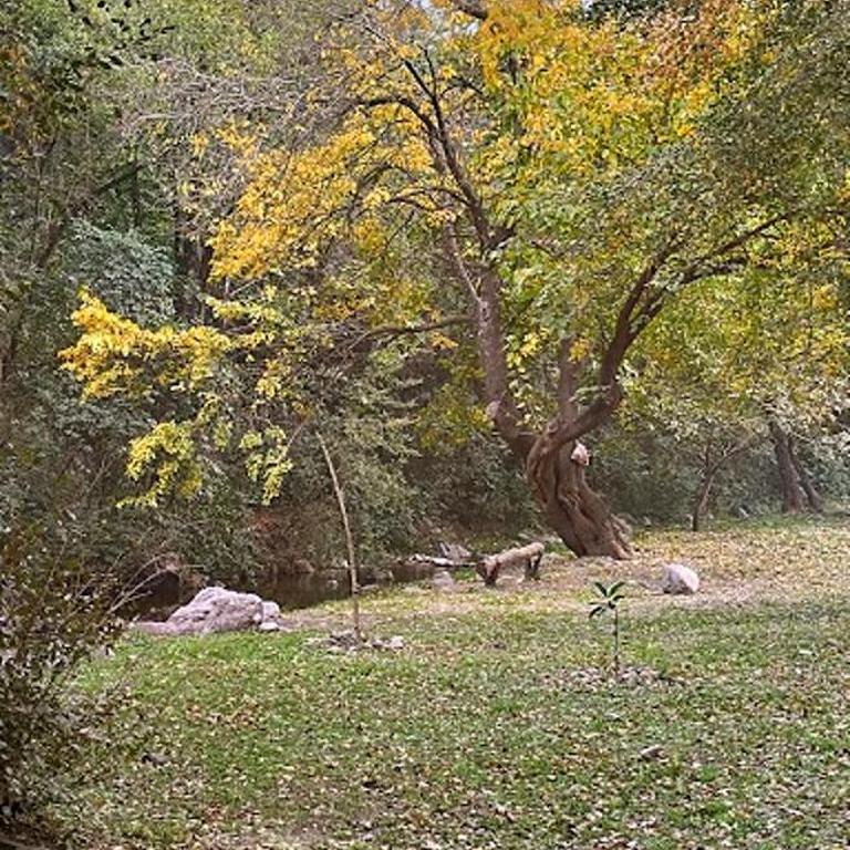 LOFT LA CAYETANA, Grupo Cabaña La Triada - Casa con 1 dormitorio - 41