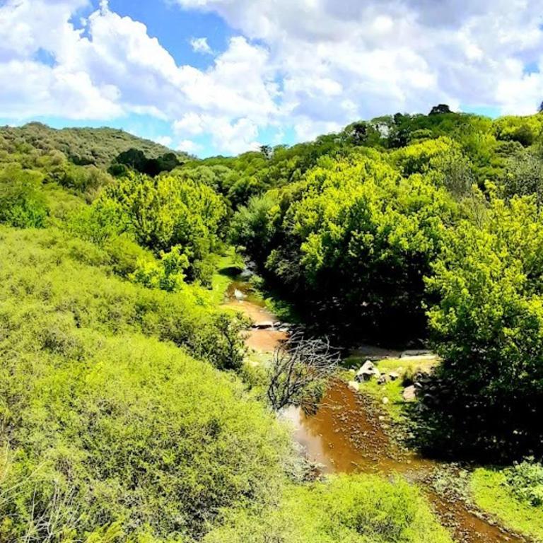 LOFT LA CAYETANA, Grupo Cabaña La Triada - Casa con 1 dormitorio - 62
