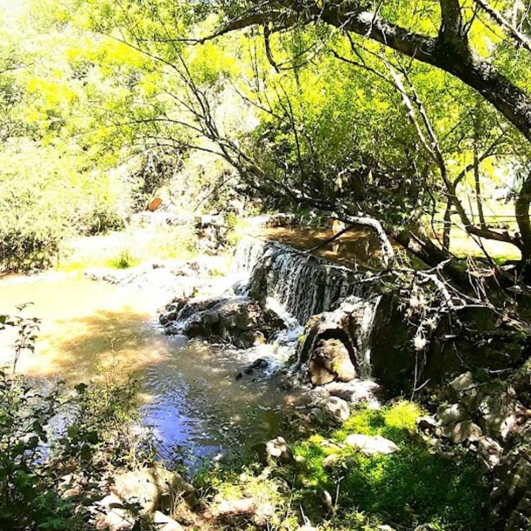 LOFT LA CAYETANA, Grupo Cabaña La Triada - Casa con 1 dormitorio - 58