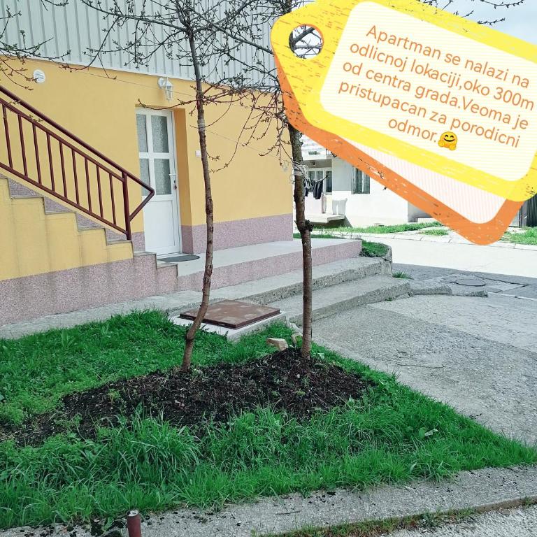 Apartment Božica - Apartment - 4