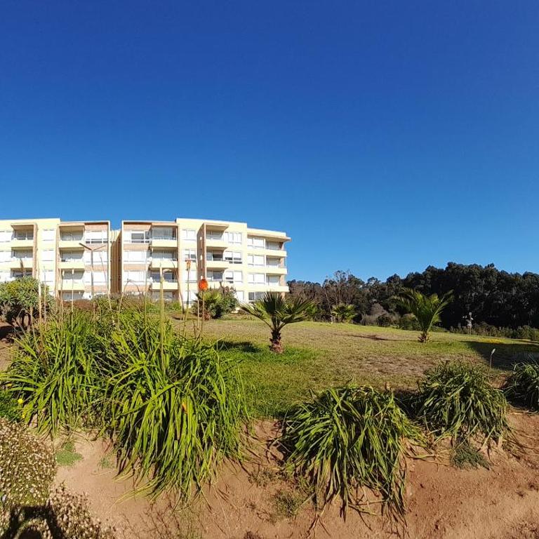 Lomas de Papudo 1 - Departamento a pasos de la playa - Apartamento con vistas al jardín - 21