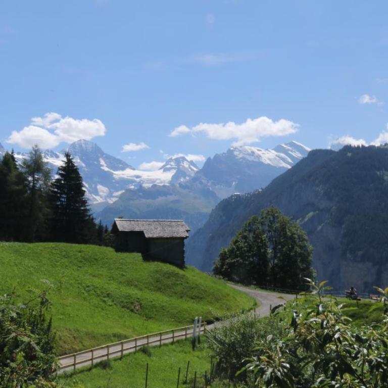 Staubbachbänkli - Apartment mit Gartenblick - 18