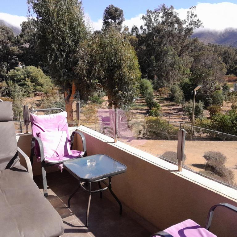 Lomas de Papudo 1 - Departamento a pasos de la playa - Apartamento con vistas al jardín - 17