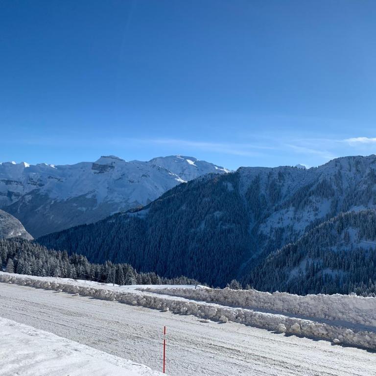 Samoens 1600, ski au pied - Appartamento con 1 Camera da Letto - 11