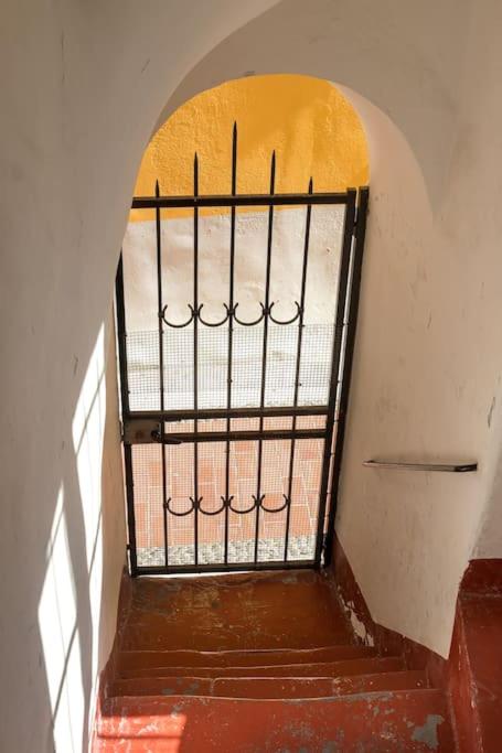 Between the roofs of Menton old town and the sea - Appartement 2 Chambres - 23