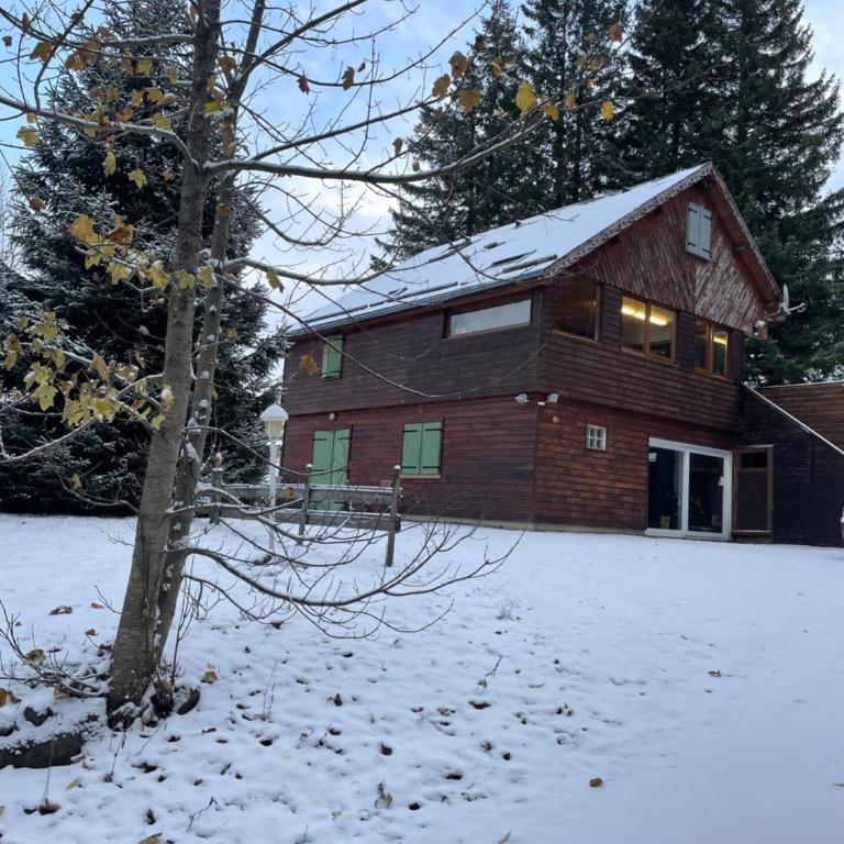 Appartement - Chalet MONT DORE COSY 6/7 personnes - Three-Bedroom Apartment - 14