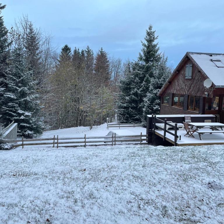Appartement - Chalet MONT DORE COSY 6/7 personnes - Three-Bedroom Apartment - 15