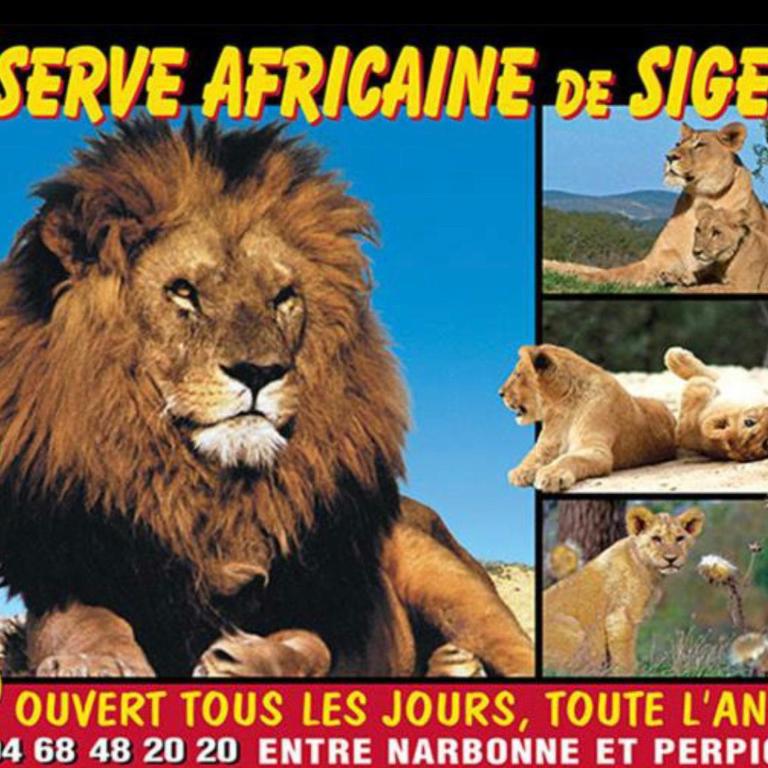 La maison de Jade Le Mabrouka donne une place pour la réserve africaine valable jusqua fin septembre - Maison 1 Chambre - 26