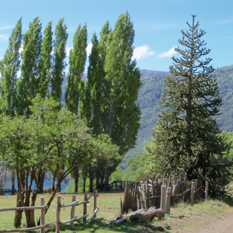El Cipresal- Cabaña Epuyen - Chalet de 2 dormitorios - 21