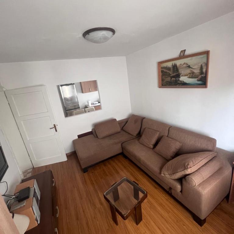 Apartments Radulovic - Apartman sa Terasom - 10