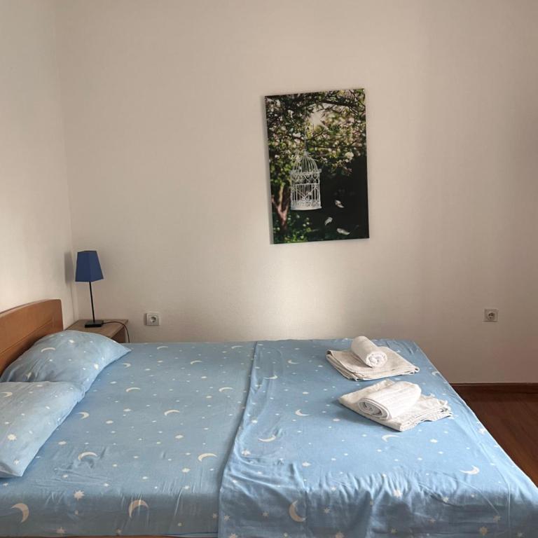 Apartments Radulovic - Apartman sa Terasom - 15