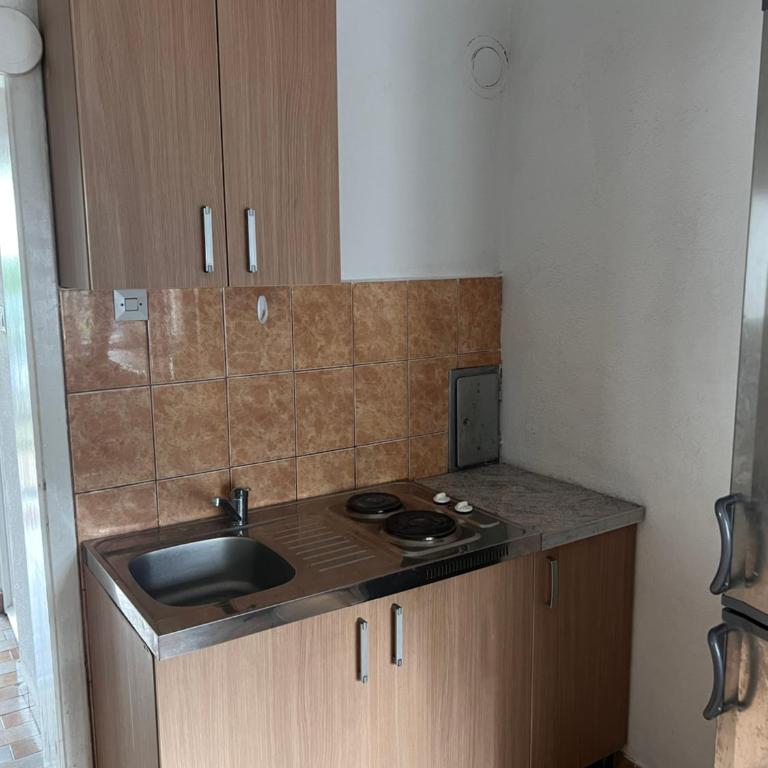Apartments Radulovic - Apartman sa Terasom - 7