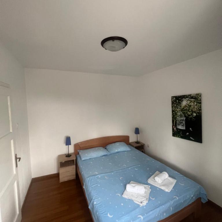 Apartments Radulovic - Apartman sa Terasom - 13