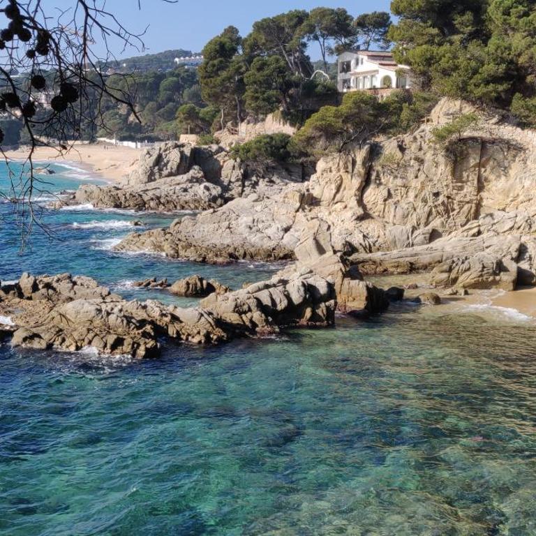 Apartamento Calella Home - Apartamento de 1 dormitorio - 48