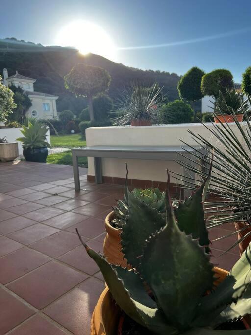 Ruim appartement, zonnig terras, Alhaurin Golf! - Two-Bedroom Apartment - 5