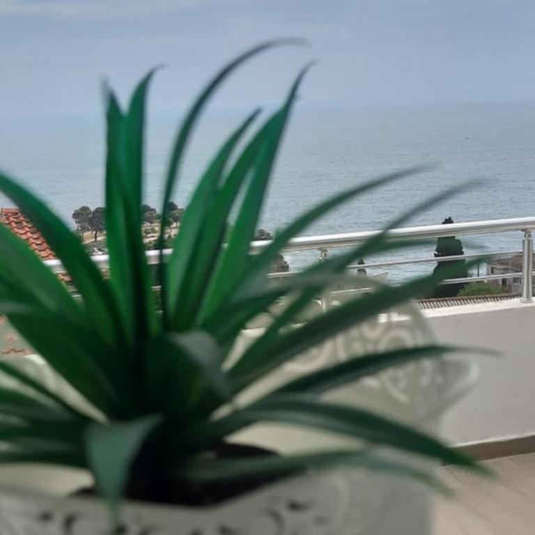 Studio Apartments Jupo - Apartman sa 2 Spavaće Sobe - 22