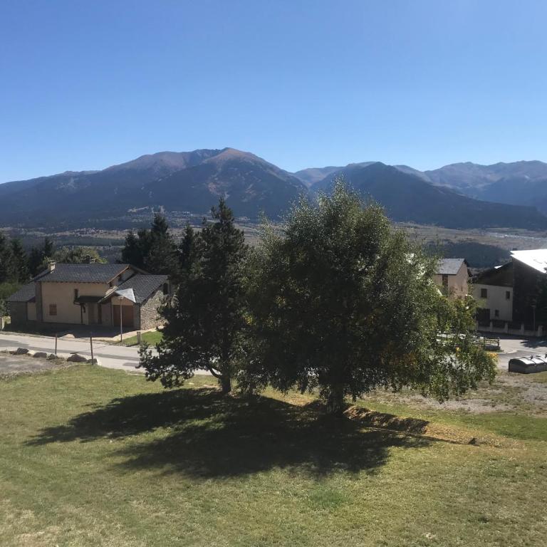 Les faons au soleil - Appartement 1 Chambre - 6