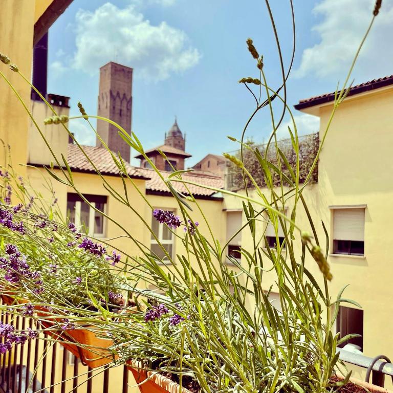 Green House Historic Centre - Two-Bedroom Apartment - 28
