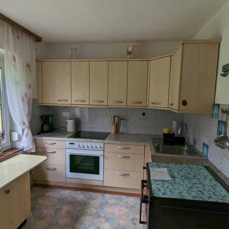 Ferienwohnung in der Natur - Familien-Apartment mit 1 Schlafzimmer - 4