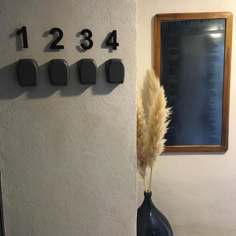 Appartement Proche Hôpital, Jardin privatif - Appartement 1 Chambre - 18