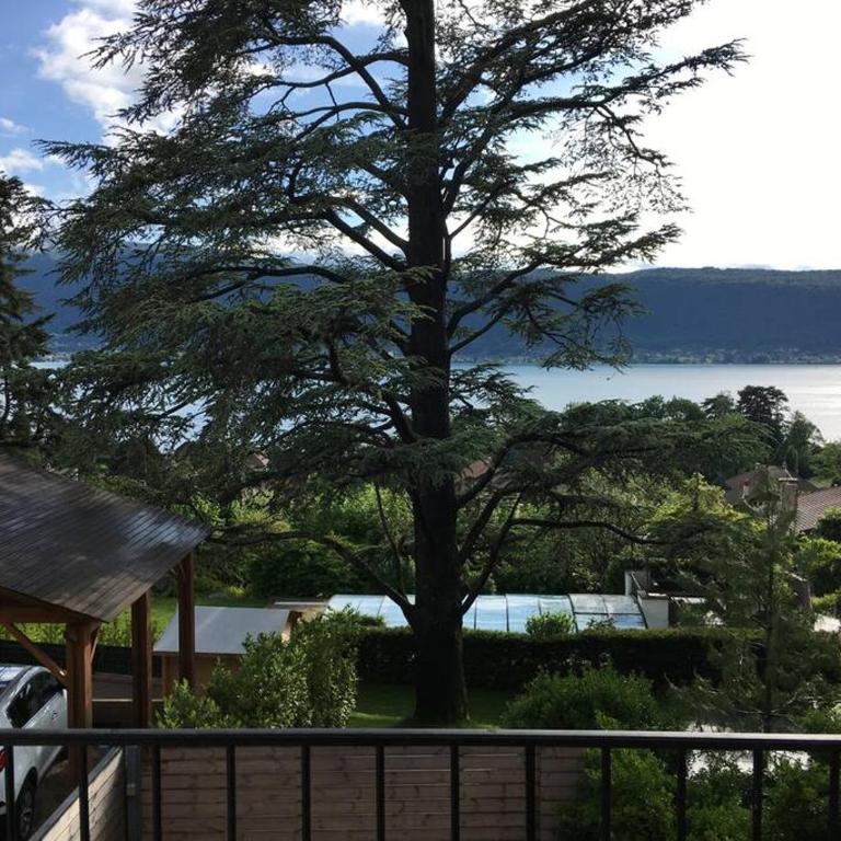 Charmant T2 Vue Lac Veyrier du Lac / Annecy - Appartement 1 Chambre - 3
