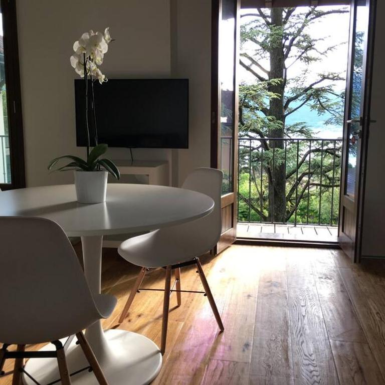Charmant T2 Vue Lac Veyrier du Lac / Annecy - Appartement 1 Chambre - 5