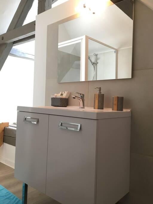 Charmant T2 Vue Lac Veyrier du Lac / Annecy - Appartement 1 Chambre - 7