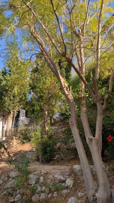 Villa Marie Calp Vue mer * Piscine * clim * parking * smart tv - Villa de 3 dormitorios - 6
