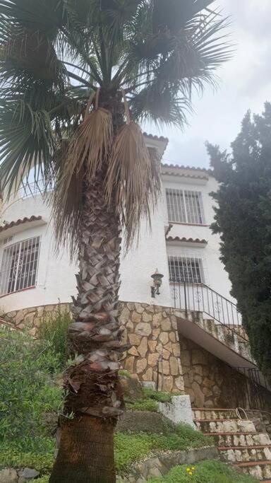 Villa Marie Calp Vue mer * Piscine * clim * parking * smart tv - Villa de 3 dormitorios - 37